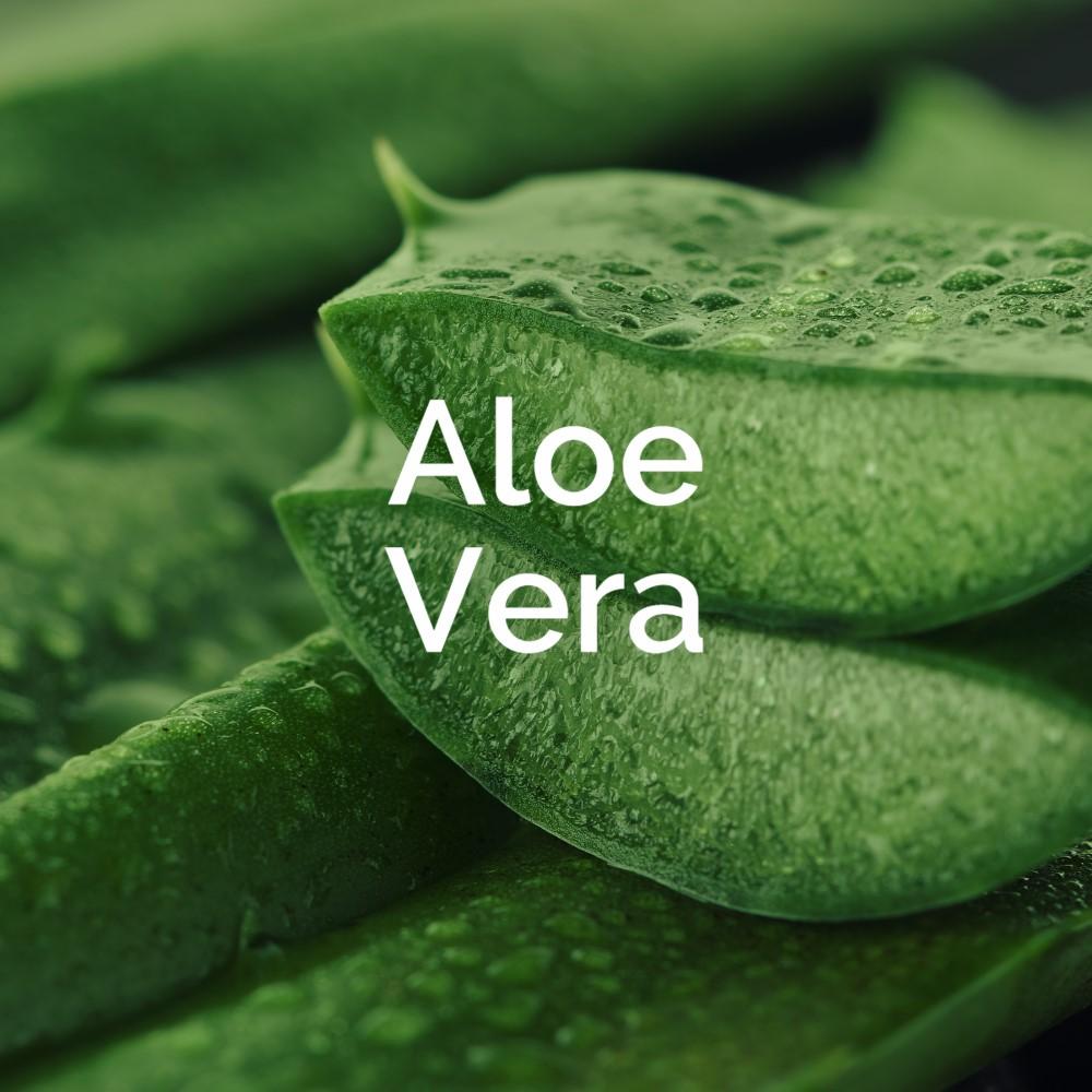 Scholl Site DE Care Scholl ExpertCare intensiv pflegende Fußmaske in Socken – intensiv feuchtigkeitspendende Maske mit Aloe Vera